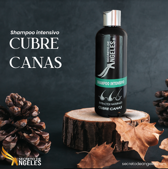 Shampoo Anti Canas