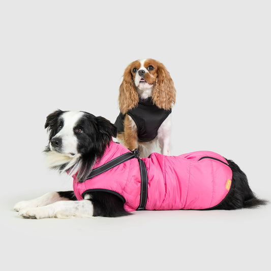 Chaqueta Impermeable para Perro.